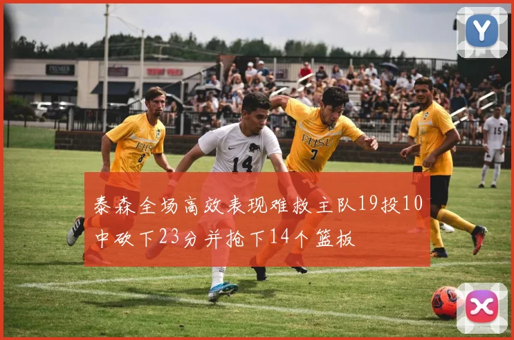 泰森全场高效表现难救主队19投10中砍下23分并抢下14个篮板