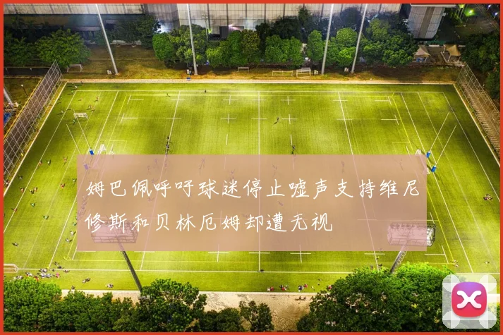 姆巴佩呼吁球迷停止嘘声支持维尼修斯和贝林厄姆却遭无视