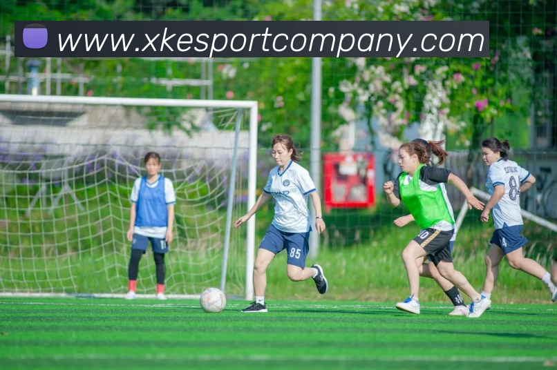 星空电竞平台生态图