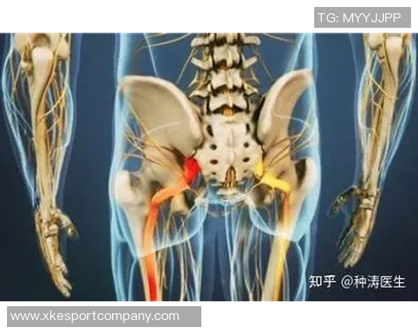 专家解读坐骨神经痛成因及治疗方法大多数患者可避免手术治疗 专家解读坐骨神经痛成因及治疗方法大多数患者可避免手术治疗