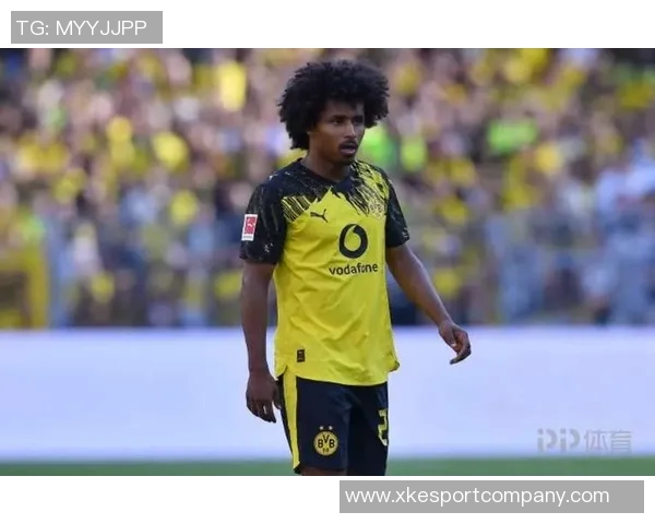 阿德耶米因非法持有武器被罚款45万欧元引发广泛关注