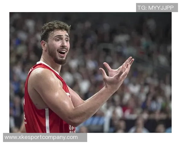 媒体人点评约基奇全力出击申京遭遇惨痛教训难以承受 媒体人点评约基奇全力出击申京遭遇惨痛教训难以承受