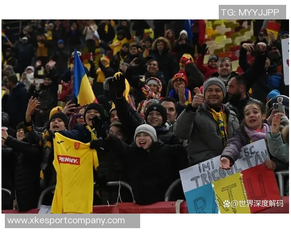 德拉古辛期待未来发展选择暂缓回归罗马尼亚国家队